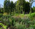 images/Schweden/Schweden 2025/DSC02592.jpg